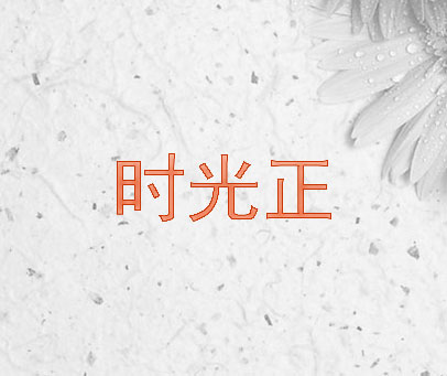 时光正