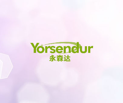永森达  YORSENDUR