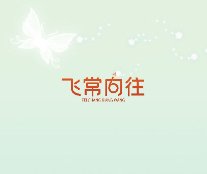 飞常向往