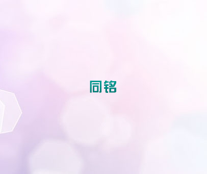 同铭