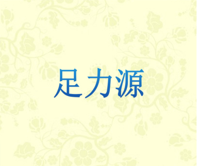 足力源