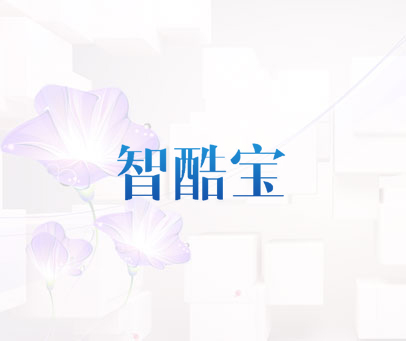 智酷宝