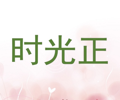 时光正