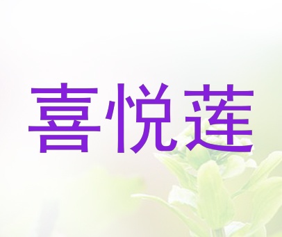 喜悦莲