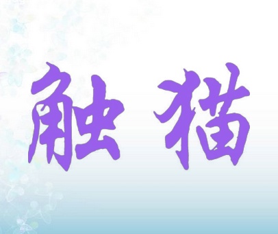 触猫