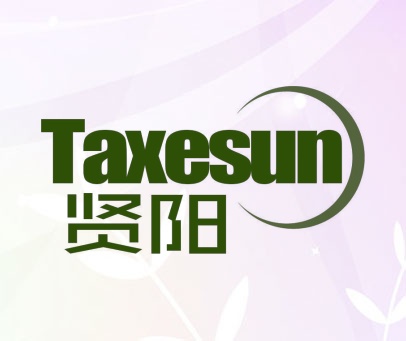 贤阳 TAXESUN