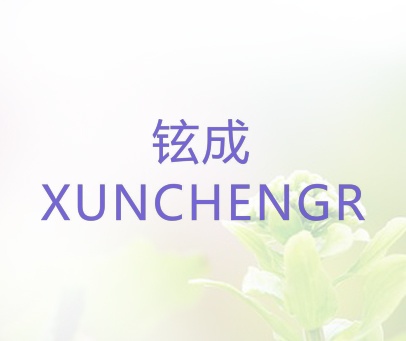 铉成 XUNCHENGR