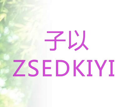 子以 ZSEDKIYI