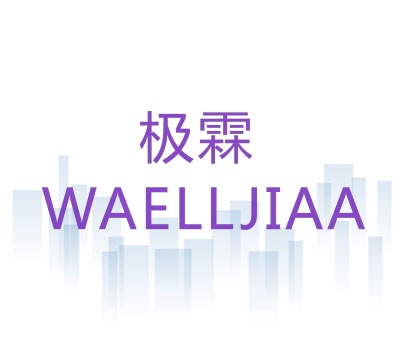 极霖 WAELLJIAA