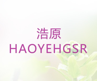 浩原 HAOYEHGSR