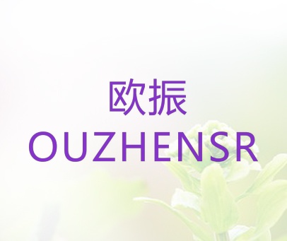 欧振 OUZHENSR
