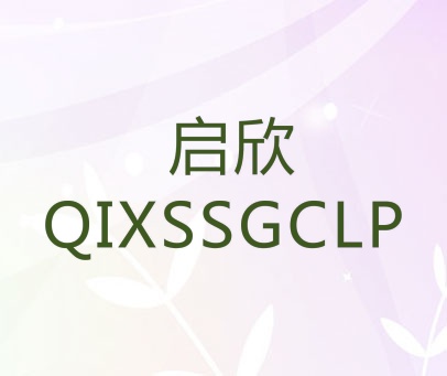 启欣 QIXSSGCLP