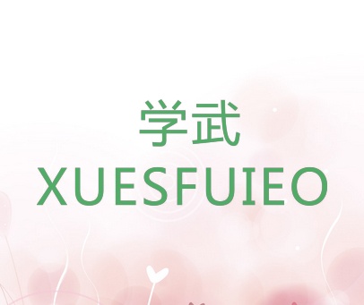 学武 XUESFUIEO