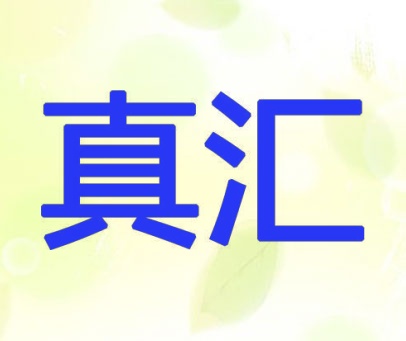 真汇