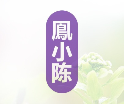 鳯小陈