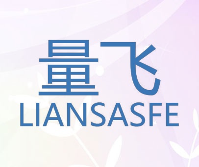 量飞 LIANSASFE