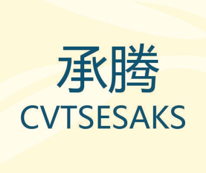 承腾 CVTSESAKS