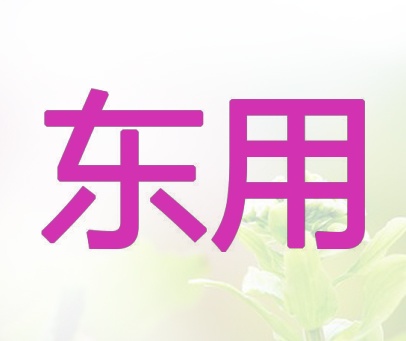 东用