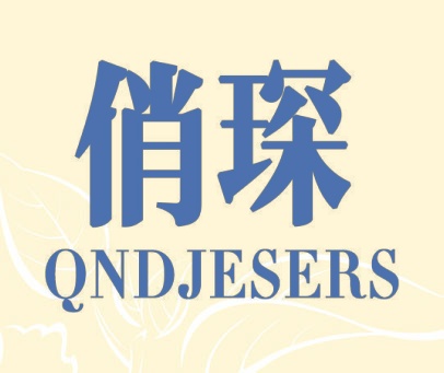 俏琛 QNDJESERS
