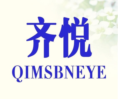齐悦 QIMSBNEYE