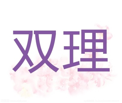 双理