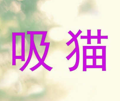 吸猫