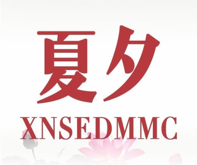 夏夕 XNSEDMMC