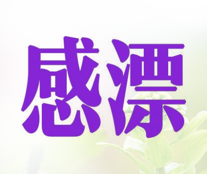 感漂