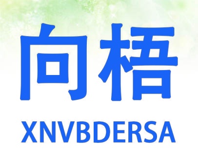 向梧 XNVBDERSA