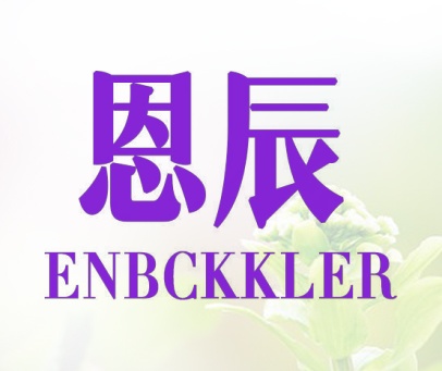 恩辰 ENBCKKLER