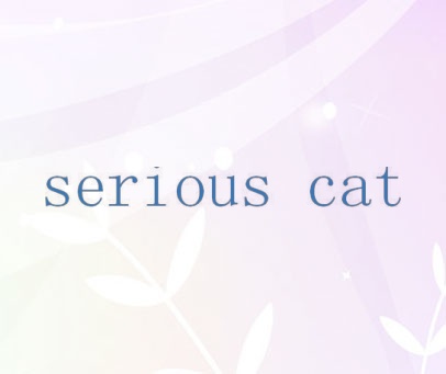 SERIOUS CAT