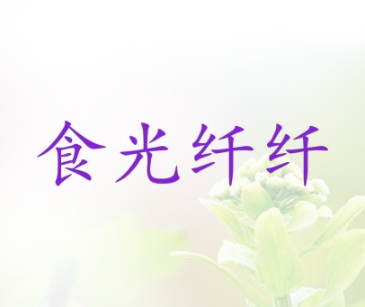 食光纤纤