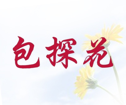 包探花