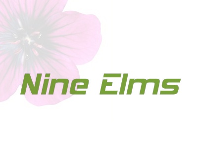 NINE ELMS
