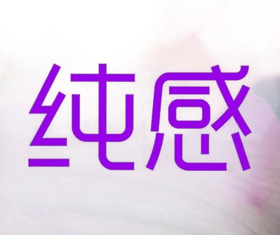 纯感