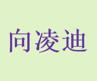 向凌迪
