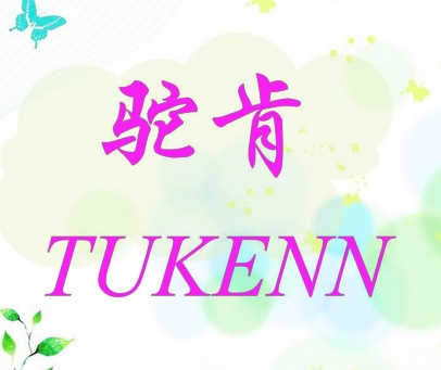 驼肯 TUKENN