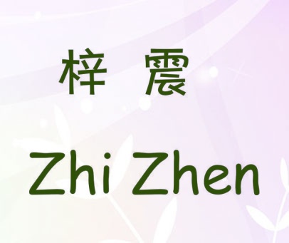 梓震 ZHI ZHEN