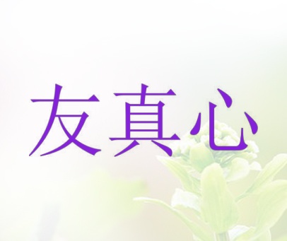 友真心