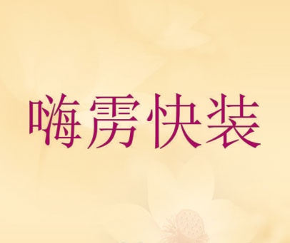 嗨雳快装